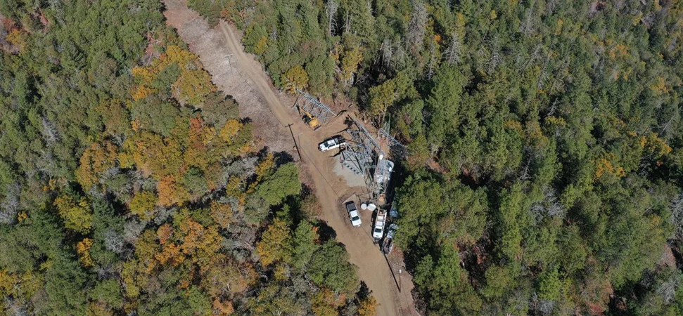 New and Modified Licenses